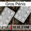 Gros Pénis 17